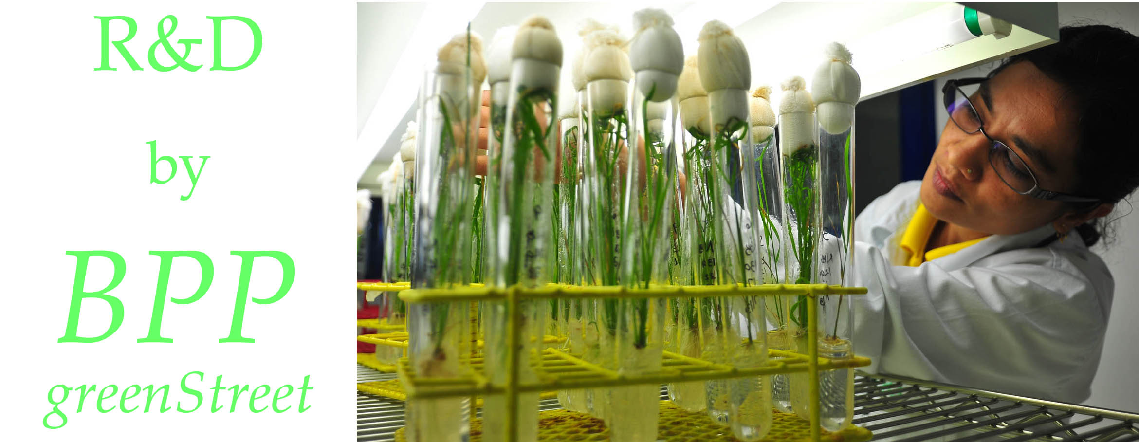 research at BPP for bio food production
