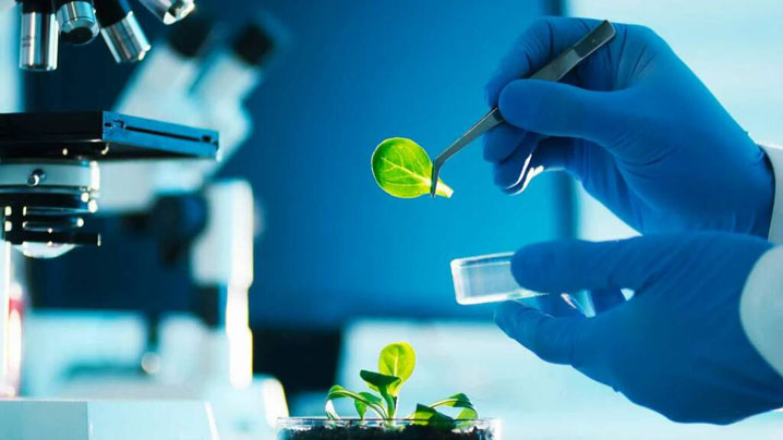 advantages of bio food plant "bpp"