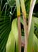 organic farming 01