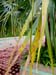 organic farming 06