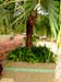 organic farming 10