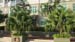 organic farming 17