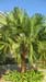 organic farming 20