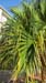 organic farming 21