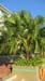 organic farming 22
