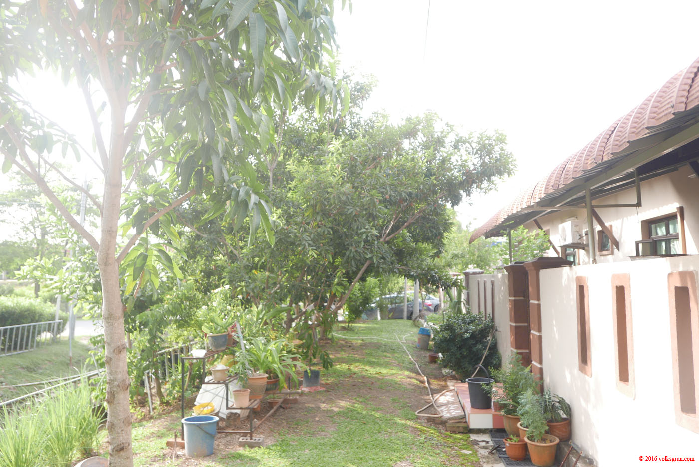 P1150363