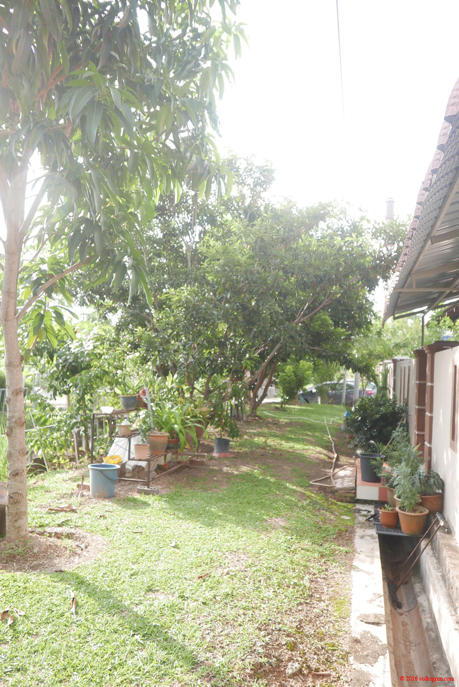 P1150364