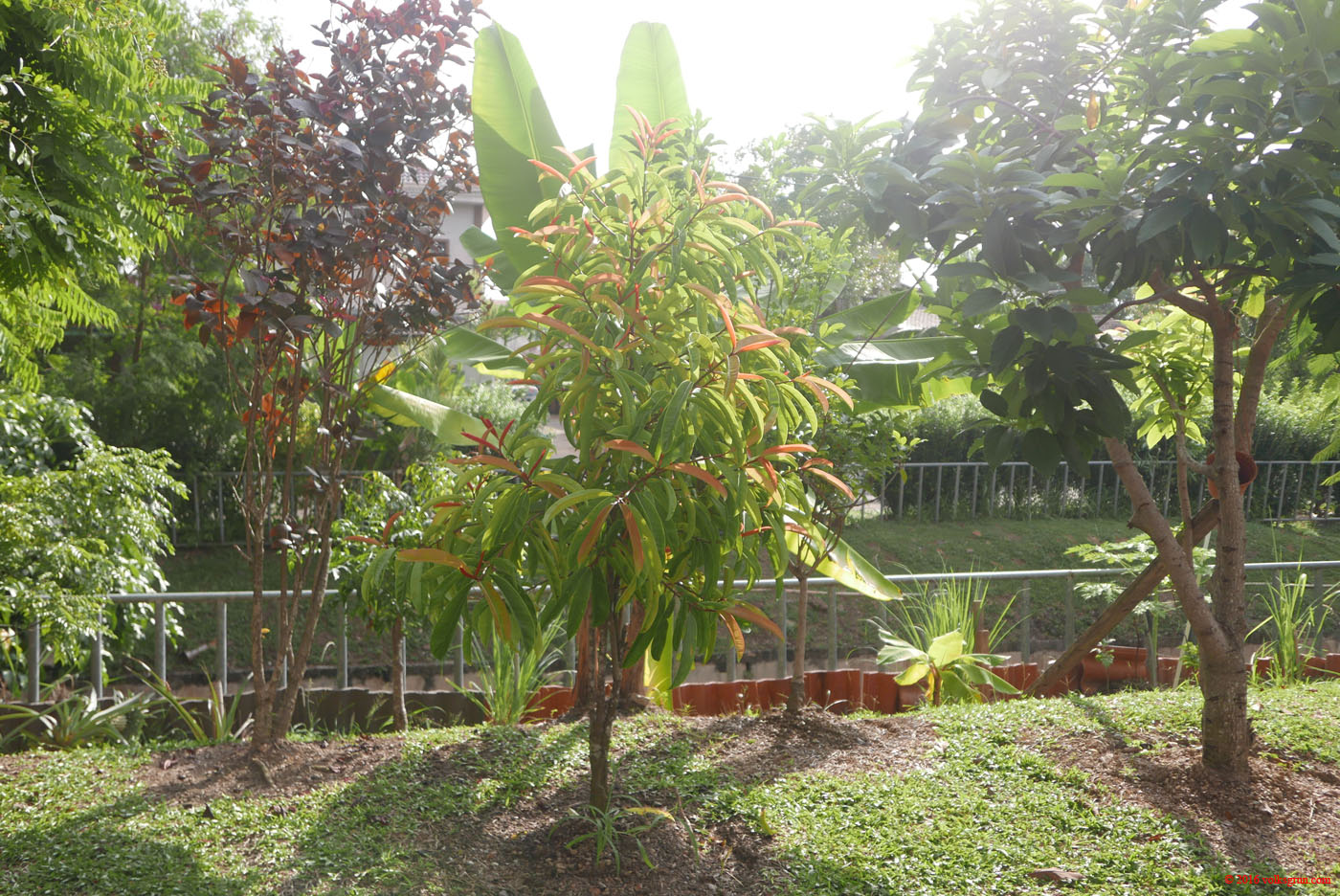 P1150365