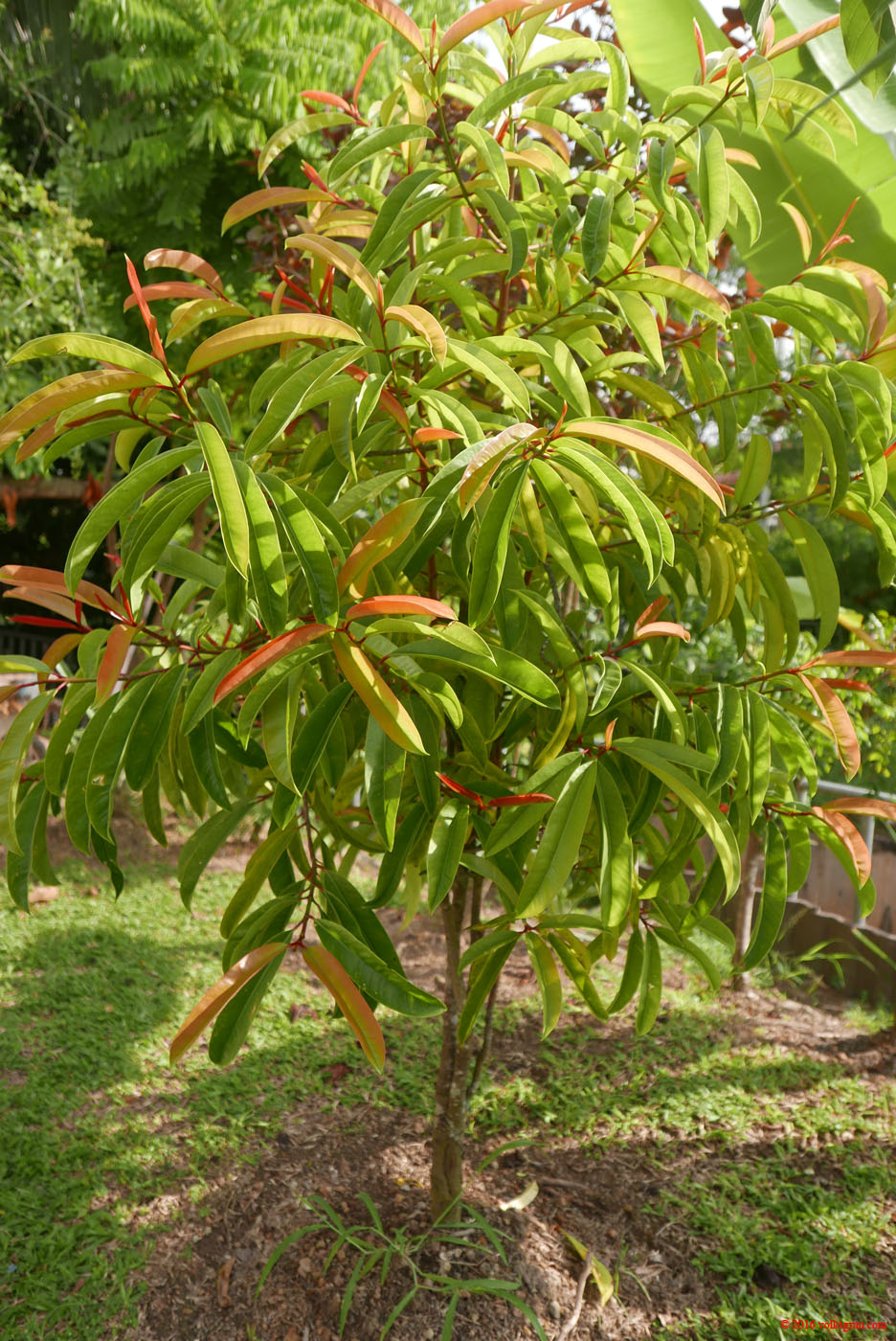P1150367