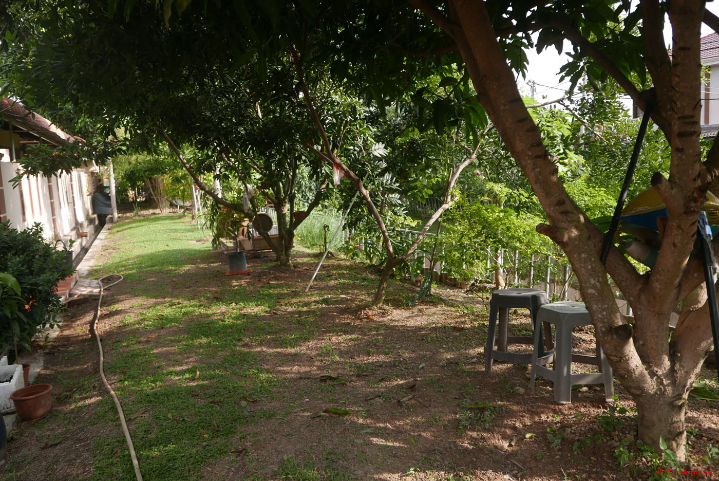 P1150368