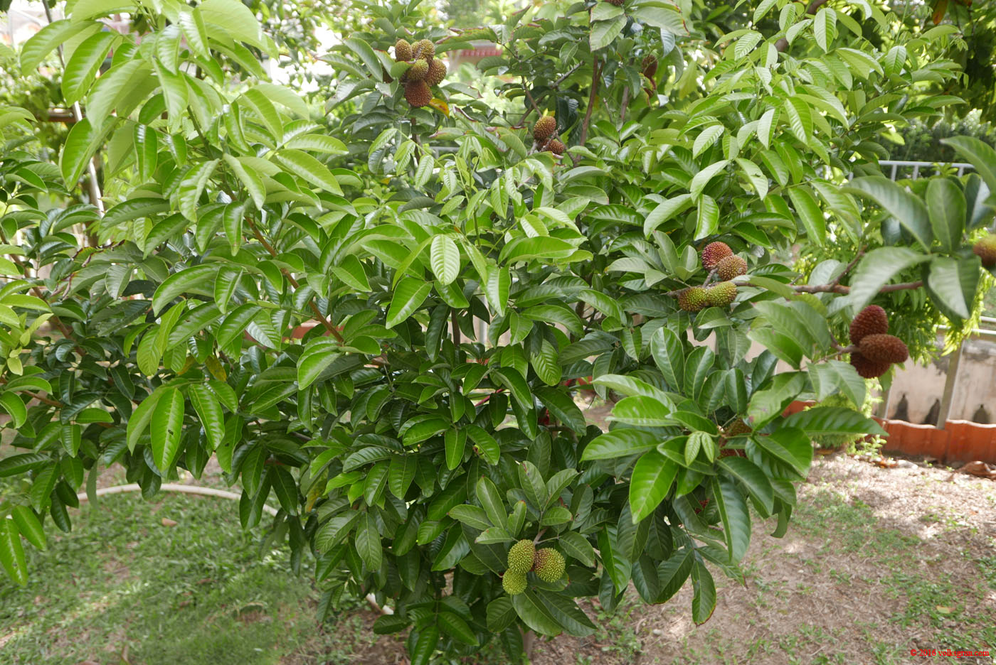 P1150369