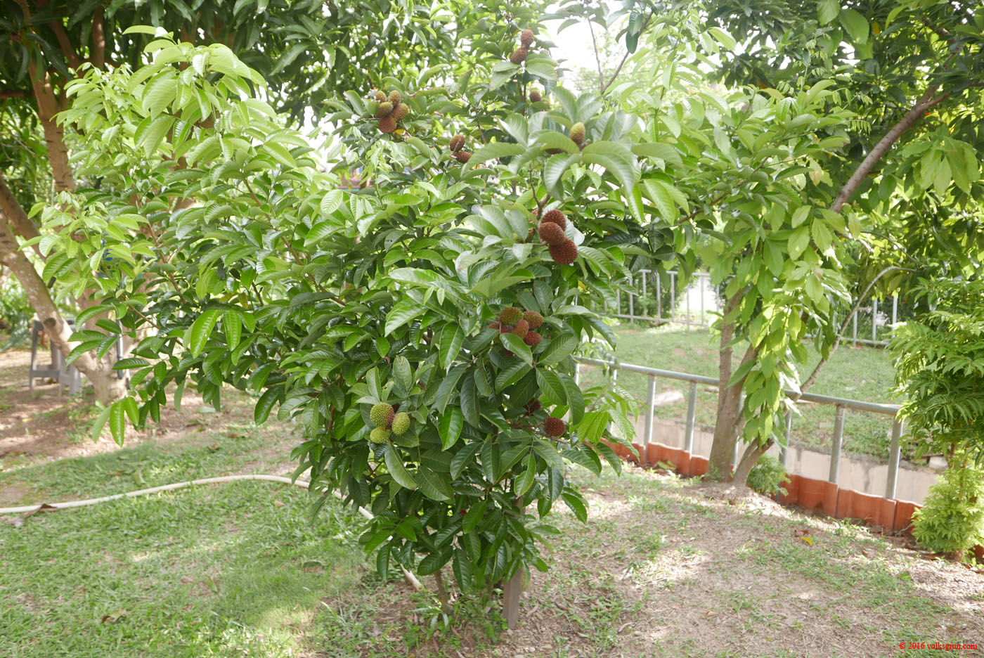 P1150370