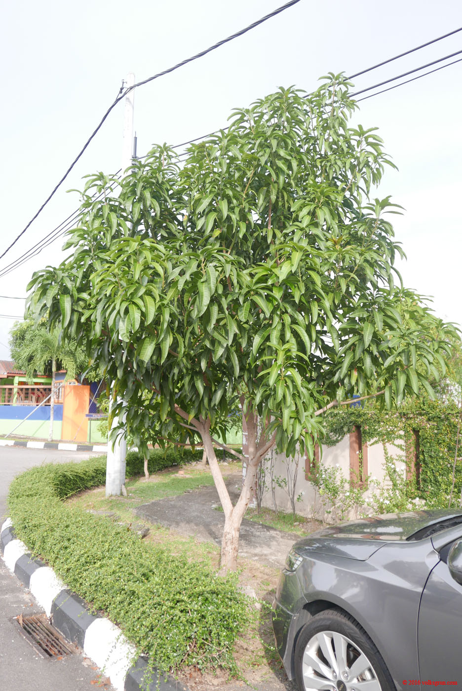 P1150377