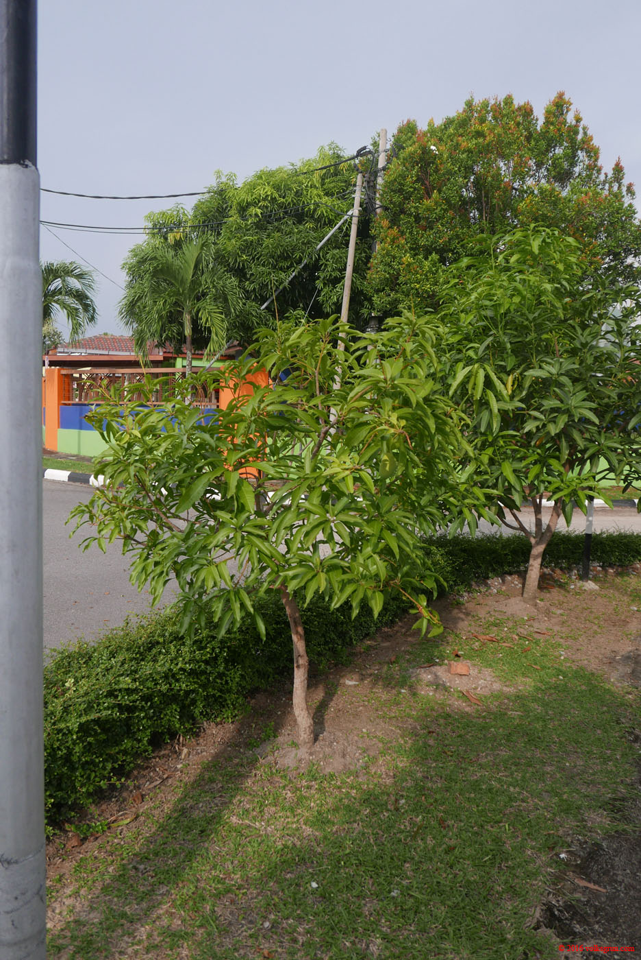 P1150378