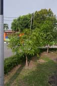P1150378